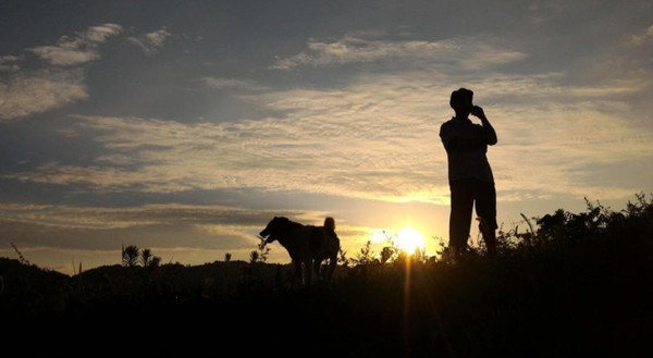 Đáng ngạc nhiên hơn, bóng hình đó rõ ràng có hình dáng con người nhưng cao lớn hơn nhiều, phủ kín lông màu xám trắng. Bóng hình bí ẩn dường như không tỏ ra e dè trước sự hiện diện của ông mà ngược lại nhìn ông với ánh mắt đầy tò mò. Khoảnh khắc ấy kéo dài khoảng mười phút, trước khi sinh vật nhanh chóng biến mất vào rừng rậm.