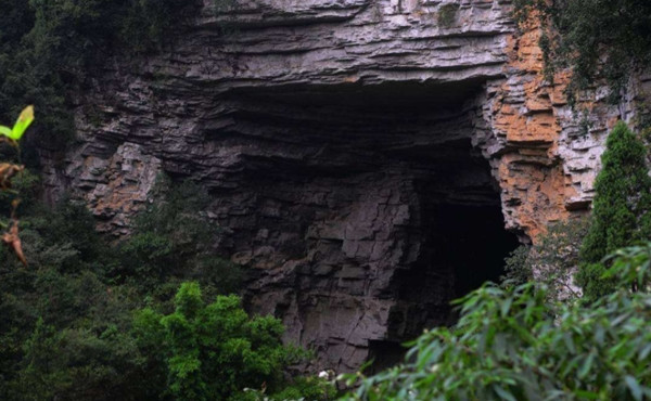 Trước sự quan tâm lớn của dư luận, chính quyền địa phương đã nhanh chóng tổ chức một đội điều tra chuyên nghiệp, do nhà sinh vật học Vương Tùng Lâm dẫn đầu. Đội ngũ này đã mang theo thiết bị hiện đại, bắt đầu cuộc khảo sát đầy khó khăn.