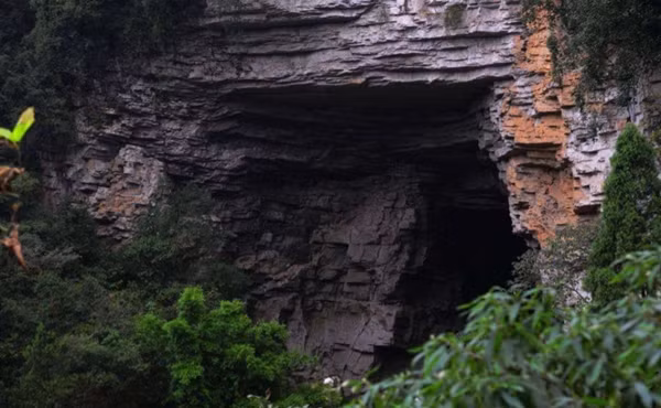 Trước sự quan tâm lớn của dư luận, chính quyền địa phương đã nhanh chóng tổ chức một đội điều tra chuyên nghiệp, do nhà sinh vật học Vương Tùng Lâm dẫn đầu. Đội ngũ này đã mang theo thiết bị hiện đại, bắt đầu cuộc khảo sát đầy khó khăn.