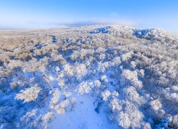 Dù đến nay, sự kiện về người phụ nữ hoang dã ở dãy núi Trường Bạch chưa có kết luận cuối cùng, cuộc khảo sát quy mô lớn này đã mang lại giá trị khoa học to lớn. Qua cuộc khảo sát này, không chỉ thu thập được nhiều tài liệu nghiên cứu quý giá, mà người ta còn hiểu sâu sắc hơn về mảnh đất huyền bí này. Bí ẩn chưa có lời giải này sẽ tiếp tục là nguồn cảm hứng để các nhà khoa học không ngừng khám phá.