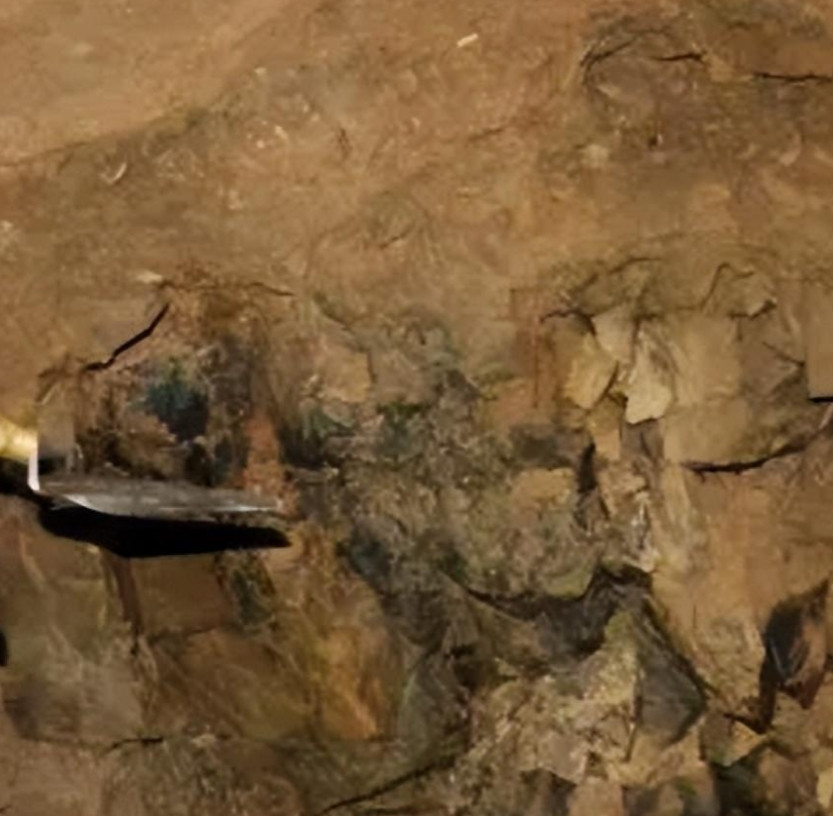 Đội ngũ chuyên gia đã thu thập nhiều dữ liệu quý giá trong quá trình điều tra dài ngày. Những mẫu lông xám trắng được tìm thấy trong hang động khác biệt rõ ràng so với các loài động vật đã biết, thu hút sự quan tâm lớn của giới khoa học.