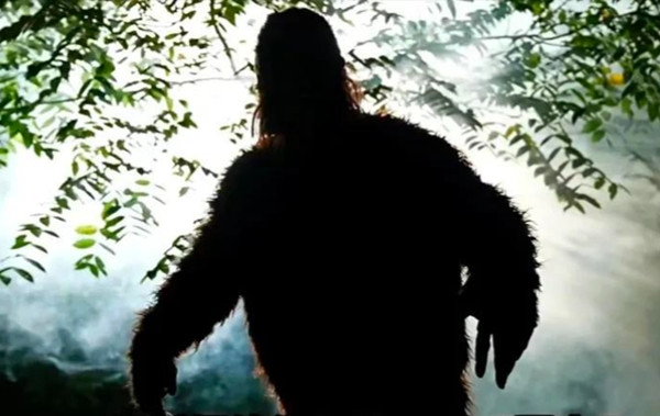 Bằng công nghệ phân tích DNA, các mẫu lông đã được xác nhận là có cấu trúc gen độc đáo, khác biệt lớn so với các loài linh trưởng hiện tại.