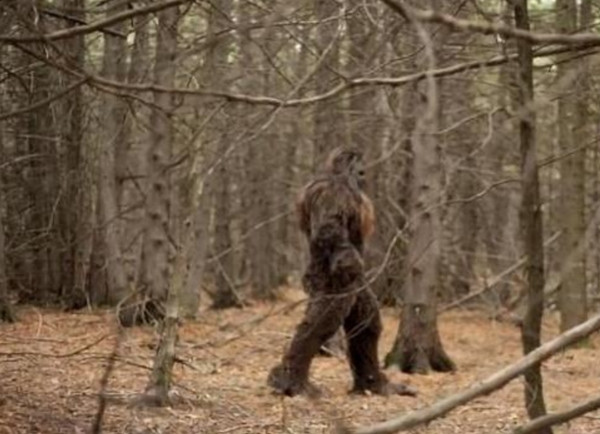 Họ đã phát hiện ra nhiều dấu vết quan trọng trong một vài hang động, bao gồm các dấu tích sinh hoạt, dụng cụ thô sơ và lông không rõ nguồn gốc, tất cả đều chỉ ra khả năng tồn tại của một sinh vật bí ẩn nào đó.