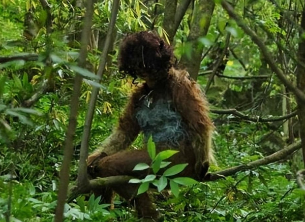 Đặc biệt, trong các văn bản lịch sử của người Mãn, có nhiều lần nhắc đến "người khổng lồ trong núi". Những người khổng lồ này được miêu tả là có lớp lông dài, đi lại như con người nhưng sống ẩn dật, duy trì khoảng cách xa với loài người văn minh.