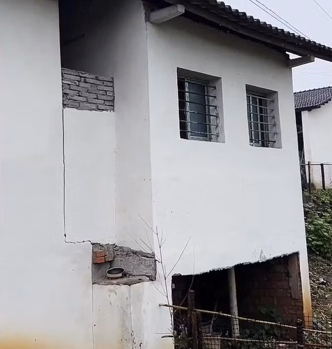 Đến năm 2014, vợ của Chung Bằng yêu cầu Trương Linh xuống tầng để dọn dẹp, nhân cơ hội này cô đã liều mình tìm cách trốn thoát nhưng không thành. Cơ hội đến khi cô gặp được chàng rể của Chung Bằng, người tình cờ phát hiện ra tình trạng của cô.