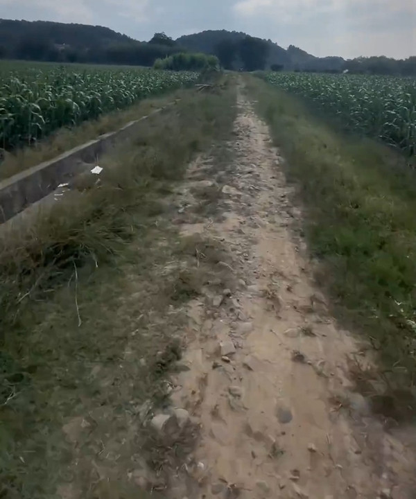 Một cán bộ làng Thượng Cam Đường tiết lộ, gia đình của nghi phạm đã đến nhà nạn nhân để xin lỗi. Trong khi đó, chính quyền thị trấn nơi gia đình bé gái cư ngụ cho biết họ đang an ủi và hỗ trợ gia đình nạn nhân.