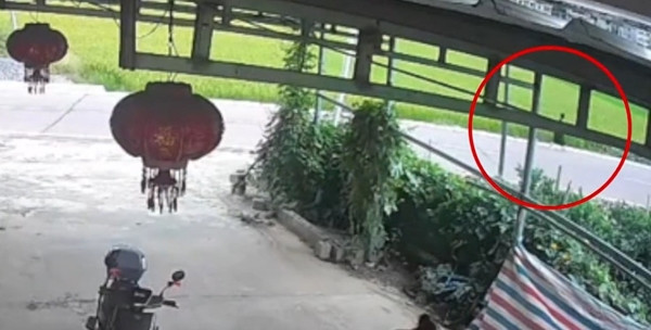 Cư dân mạng bày tỏ quan điểm như "Hãy xét xử những người từ 13 tuổi trở lên như người trưởng thành", "Hãy khôi phục các trung tâm cải tạo cho trẻ vị thành niên", "Việc bảo vệ trẻ vị thành niên đã trở thành bảo vệ tội phạm vị thành niên", "Đưa tội phạm vị thành niên vào trung tâm cải tạo cho đến 18 tuổi rồi mới xét xử"...