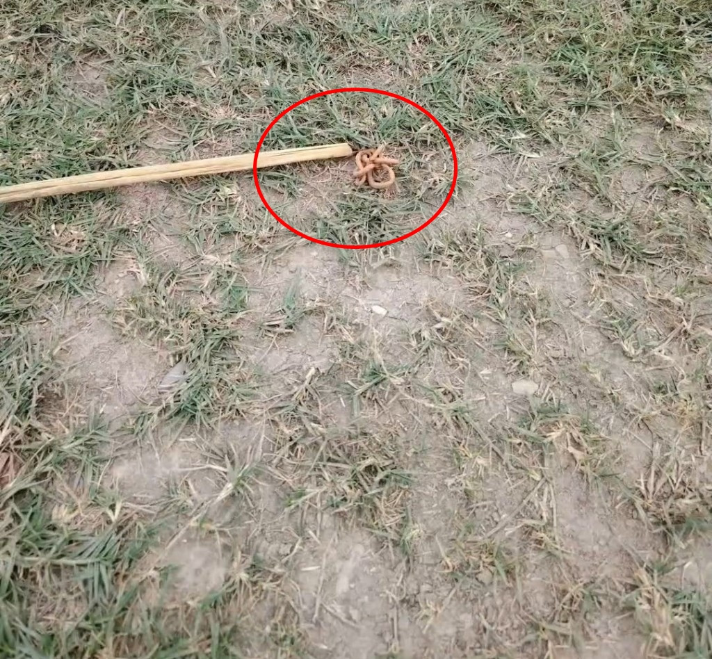 Theo luật hình sự của Trung Quốc, trẻ em dưới 12 tuổi không phải chịu trách nhiệm hình sự ngay cả khi phạm tội. Điều này đã gây ra nhiều tranh cãi trên mạng xã hội. Nhiều người kêu gọi xét xử nghiêm khắc hơn đối với tội phạm vị thành niên và khôi phục các trung tâm cải tạo cho trẻ vị thành niên.