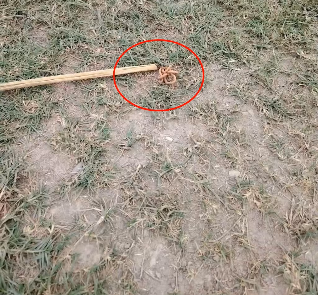 Theo luật hình sự của Trung Quốc, trẻ em dưới 12 tuổi không phải chịu trách nhiệm hình sự ngay cả khi phạm tội. Điều này đã gây ra nhiều tranh cãi trên mạng xã hội. Nhiều người kêu gọi xét xử nghiêm khắc hơn đối với tội phạm vị thành niên và khôi phục các trung tâm cải tạo cho trẻ vị thành niên.