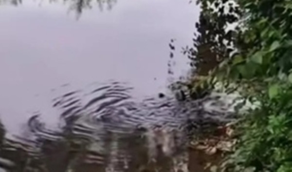 Một cán bộ làng cho biết, vào thời điểm đó, một người dân trong làng đang cho gà ăn thì phát hiện thi thể bé gái nổi trên mặt nước tại một khu vực hẻo lánh nên lập tức báo cho đồn công an địa phương. Đáng chú ý, đầu của bé gái có vết thương đáng ngờ.