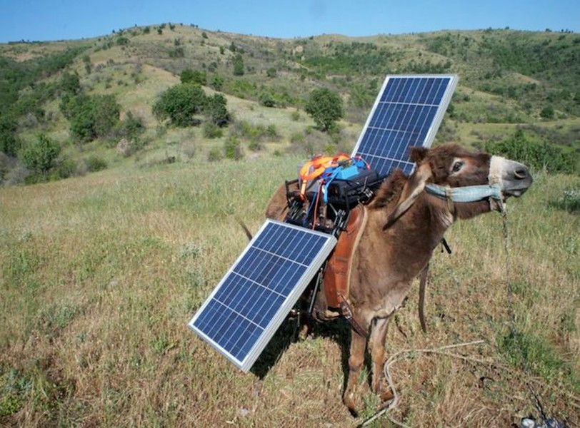 Túi chăn cừu có một thiết bị sạc, hai ổ cắm và một chiếc radio.