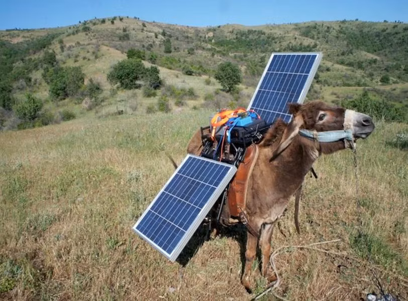 Túi chăn cừu có một thiết bị sạc, hai ổ cắm và một chiếc radio.