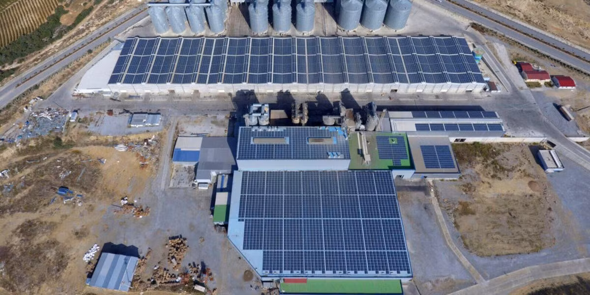 Hiệp hội chăn nuôi cừu và dê Izmir đã triển khai một dự án với một công ty năng lượng mặt trời để cung cấp điện cho người chăn nuôi ở những vùng nông thôn. Ảnh: IBC Solar