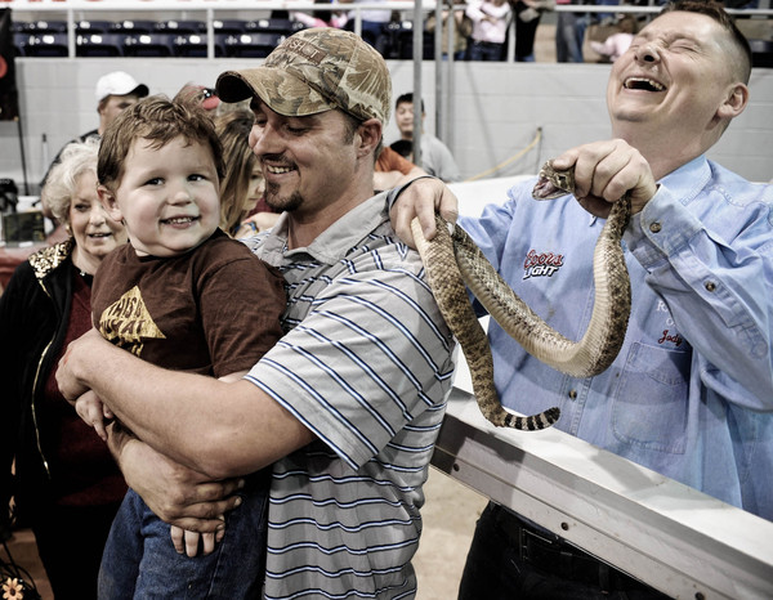 Tại lễ hội, rắn đuôi chuông trở thành trò tiêu khiển của tất cả du khách ở các hoạt động khác nhau. Một số con được đem nhốt vào lồng để trưng bày cho mọi người tham quan. Người ta còn khuyến khích và chỉ cho du khách bao gồm cả người lớn và trẻ em cách cầm một con rắn mà không bị nó làm hại.