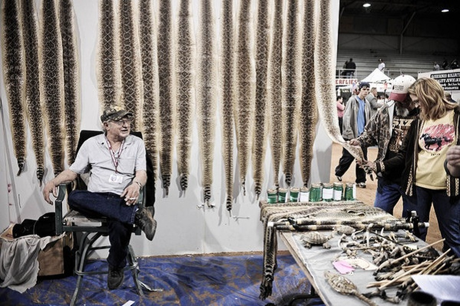 Da của những con rắn bị lột được sử dụng làm đồ lưu niệm như ví da hay thắt lưng bán ngay tại hội chợ.