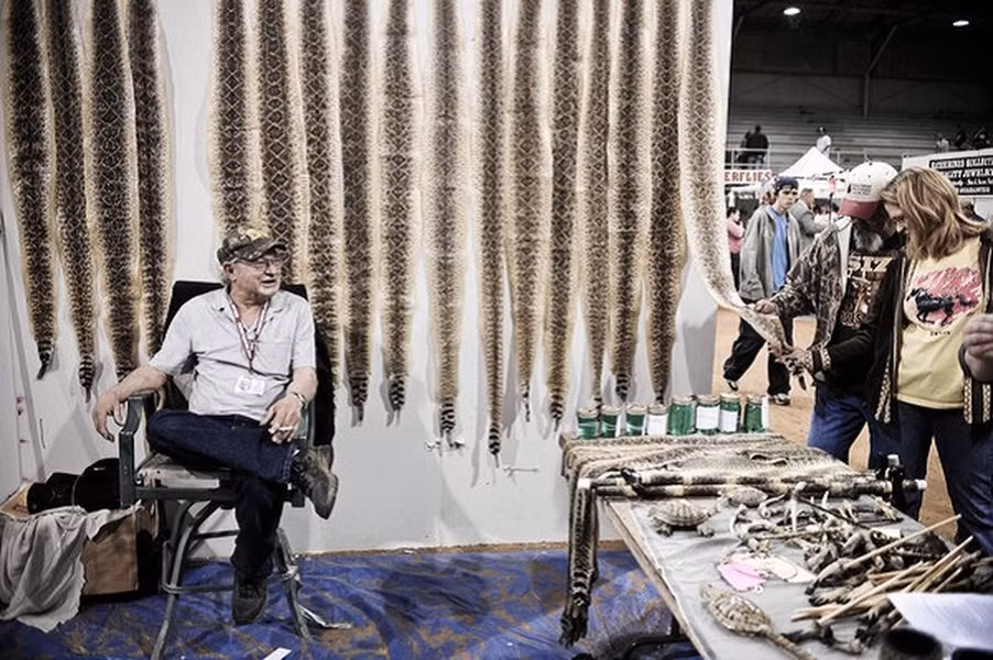 Hai hung le hoi 'tham sat' ran duoi chuong doc, cuc nguy hiem-Hinh-10