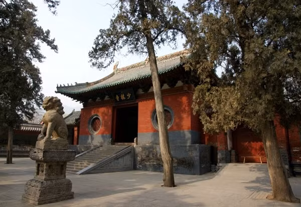 Nào ngờ, trong thời gian tại Thiếu Lâm Tự, vợ anh Dương đã phát sinh tình cảm với nhà sư trẻ 24 tuổi phụ trách giảng dạy võ thuật cho các môn sinh. Ban ngày, cả hai cùng con trai anh Dương học võ, ban đêm thì tâm sự yêu đương, khiến tình cảm nhanh chóng nồng nàn.