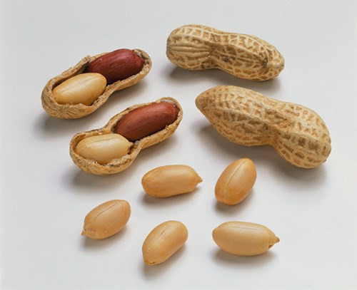 Ngoài tác dụng làm đa dạng các món ăn, việc ăn lạc thường xuyên còn có nhiều công dụng với sức khỏe đặc biệt là làm giảm nguy cơ sỏi mật, phòng và chống bệnh ung thư.