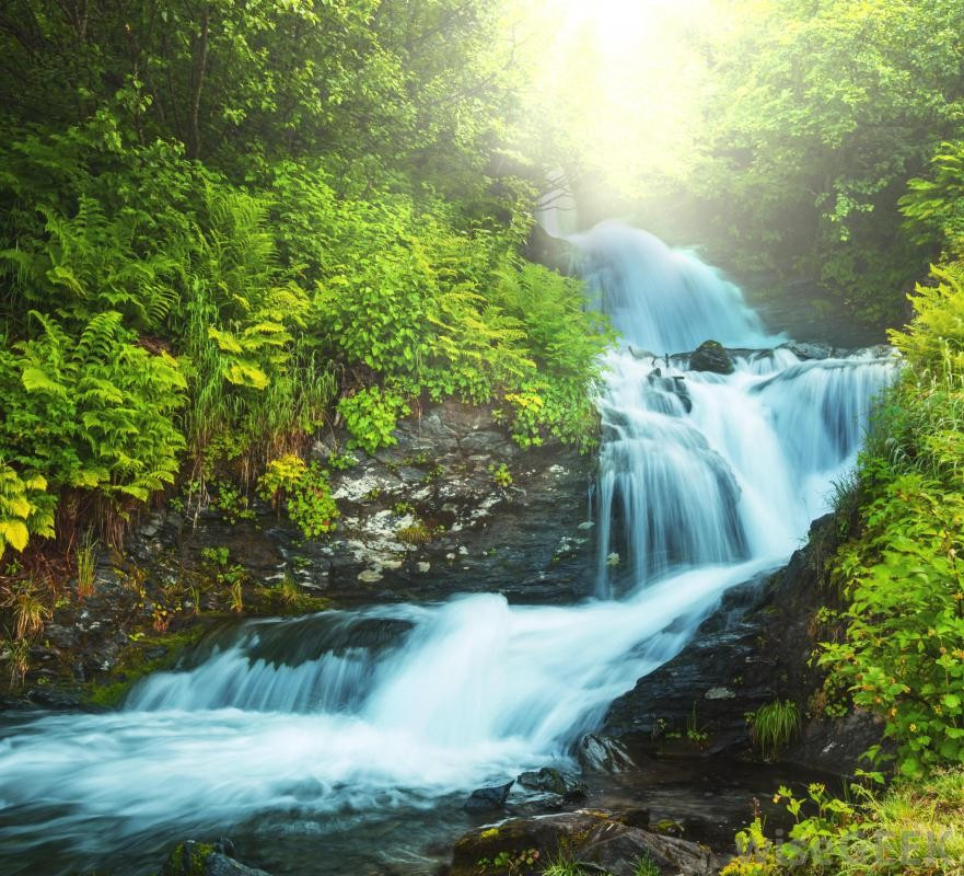 1. Nước suối tự nhiên Vì rất khó xác định nguồn nước suối núi có bị ô nhiễm hay không, mặc dù nhìn có vẻ trong, uống cảm thấy vị ngọt nhưng thực tế, loại nước này nguy cơ cao chứa vi khuẩn có hại cho cơ thể.