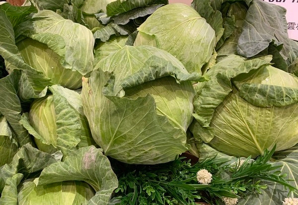 Cụ thể, theo chuyên gia Trần Mạn Linh, thành phần vitamin U trong bắp cải hay còn gọi là "tinh chất bắp cải".