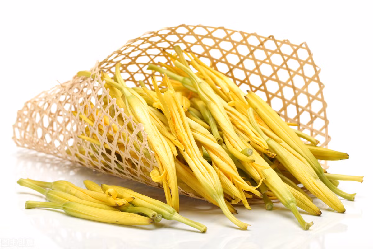 Còn hoa thì sẽ hái vào mùa hạ hay đầu thu, lúc mới chớm nở, có thể đem phơi hay sấy nhẹ cho đến khi khô.