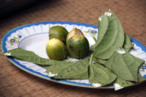 Vì vậy nếu đã trót thích thứ này, bạn cố gắng ăn càng ít càng tốt hoặc bỏ ăn để bảo vệ sức khoẻ và sinh mệnh của bản thân.