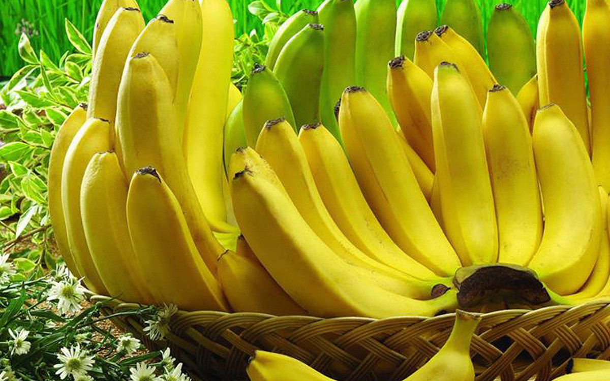 Trong trường hợp mua phải chuối bị ngâm, phun, ủ hoá chất, ăn vào cơ thể sẽ gây tổn thương một số cơ quan. Đáng nói, tổn thương như vậy hầu như không thể hồi phục.