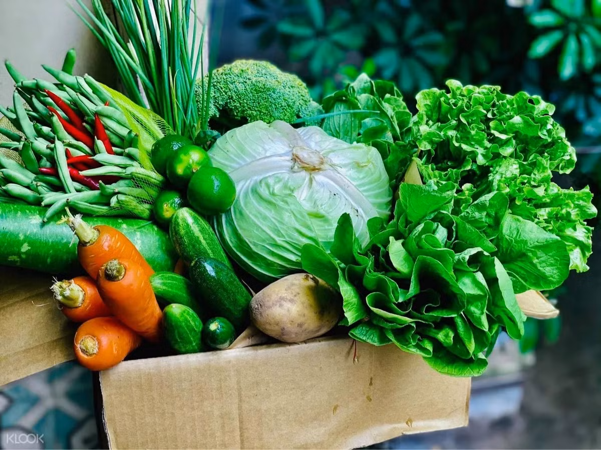 Ngoài ra, bác sĩ Lưu cũng đặc biệt nhắc nhở rằng các loại đường tinh luyện như sucrose và fructose sẽ ảnh hưởng đến sự dao động của lượng đường huyết trong cơ thể, không có lợi cho việc giữ dáng. Ai cũng biết, béo phì còn là nguy cơ dẫn đến bệnh tim mạch, khiến cơ thể tiếp tục viêm mãn tính và gây tổn thương tế bào.