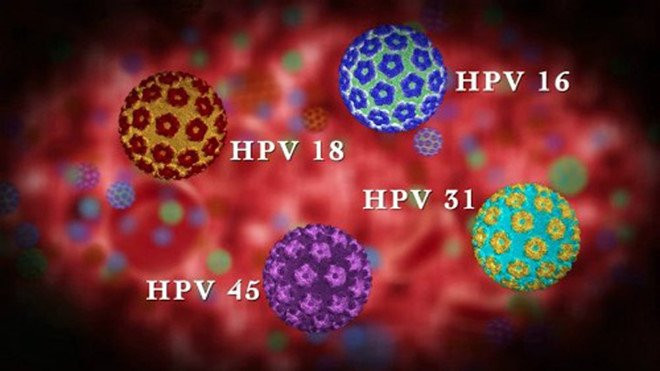 2. Người bị nhiễm virus HPV trong thời gian dài Tôi tin rằng đối với nhiều người, virus HPV còn tương đối xa lạ, nó thường ảnh hưởng đến cổ tử cung của chúng ta và dễ gây ung thư, nhưng bạn có biết không? Trên thực tế, nó vẫn là mối nguy hại lớn đối với khoang miệng của chúng ta.