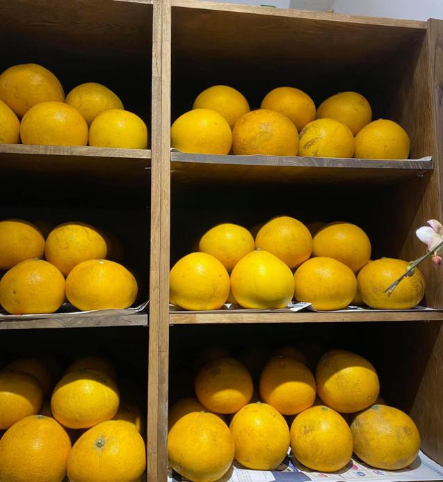 Tiếp đó, lấy vôi tôi chấm lên cuống quả. Bước này là để sát khuẩn, cũng như tránh cho vi khuẩn xâm nhập vào quả bưởi. Chất portlandit còn có thể chống lại sự thối rữa do các loại nấm của rau, củ, quả khi bảo quản nữa.