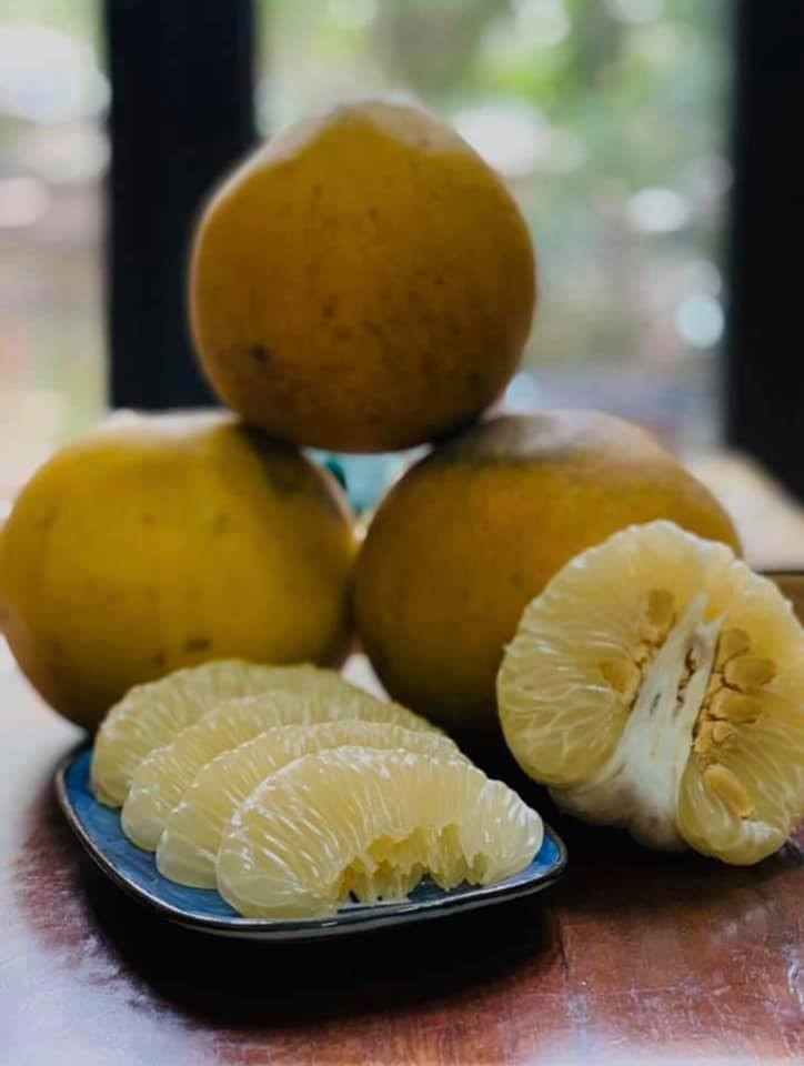 Nên sử dụng các loại túi nylon sinh học, có khả năng tự phân hủy để bảo vệ môi trường.