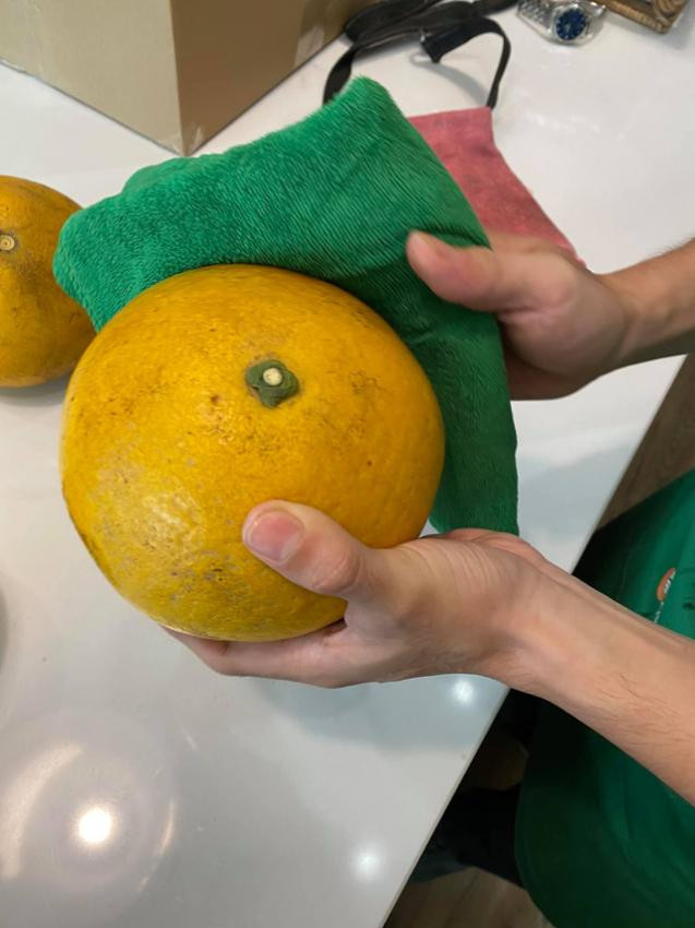 Nhưng nếu chỉ bảo quản với cách này, quả bưởi dễ bị hỏng và không giữ được lớp vỏ vàng căng, đẹp vốn có của bưởi Diễn. Chỉ cần thêm một bước này, bạn sẽ bảo quản và giữ bưởi Diễn tươi thật lâu.