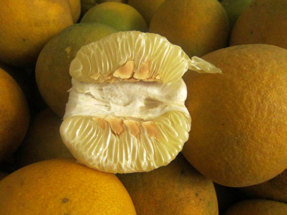 Cách này nhằm ngăn không khí tiếp xúc với trái bưởi. Khi được bọc trong túi nylon, bưởi sẽ xuống nước chậm hơn, tươi lâu hơn.