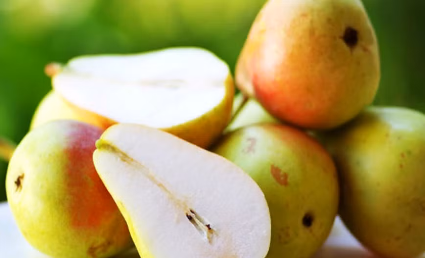 6. Chọn lê: Tương tự như táo, nên chọn những quả lê nặng tay, vỏ ngoài không bị xước, thâm đen, các chấm gai đều nhau, không có mùi lạ.