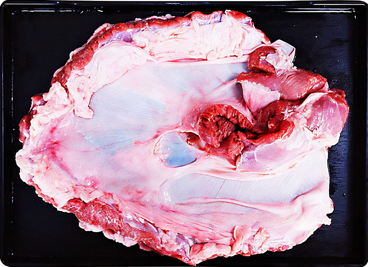 Từ tên gọi có thể thấy, bộ phận này có chức năng bảo vệ tim. Cụ thể, chức năng của phần thịt này là ngăn cách các mô của khoang ngực và khoang bụng, giúp tim không bị lắc lư khi con lợn đi bộ cũng như bảo vệ tim.