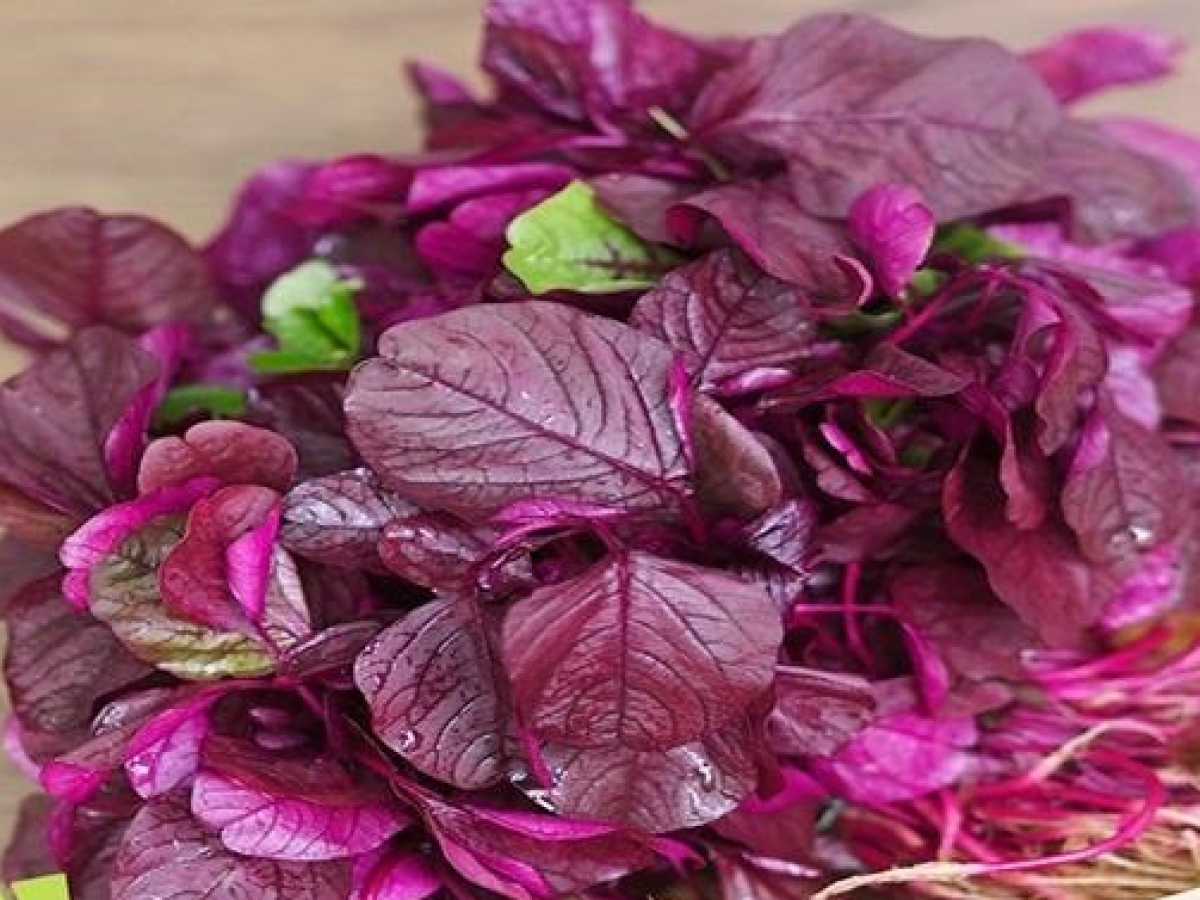 Các hợp chất hữu cơ này được chuyển đổi thành axit uric khi tiêu hóa, có thể làm tăng mức độ kết tủa của canxi trong thận. Hệ quả là, cơ thể có thể hình thành sỏi thận rất khó chịu và đau đớn.