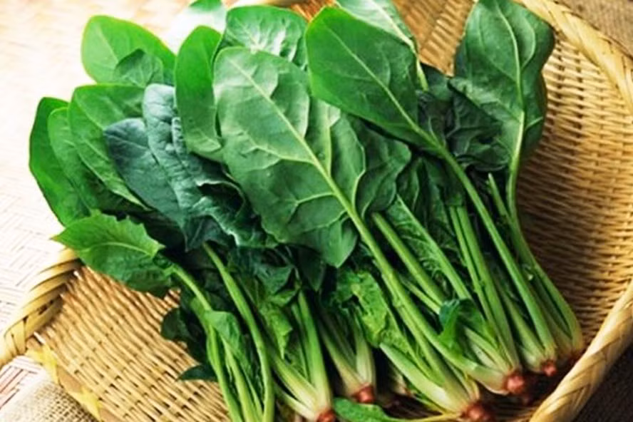 6. Cải bó xôi chứa nhiều chất chống oxy hóa và beta carotene, giúp nâng cao hệ miễn dịch, tăng khả năng chống nhiễm trùng của cơ thể. Nó cũng là loại rau chứa nhiều vitamin A.