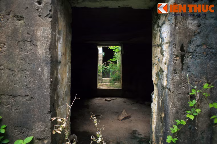 Trong bài thơ, Hàn Mặc Tử ví mình như chim phượng hoàng, bay qua nhiều cung trời để rồi rớt xuống một cù lao, sau nhiều năm tu luyện đã thành chánh quả, ông theo thất tinh chỉ hướng để đi tìm một người thục nữ.