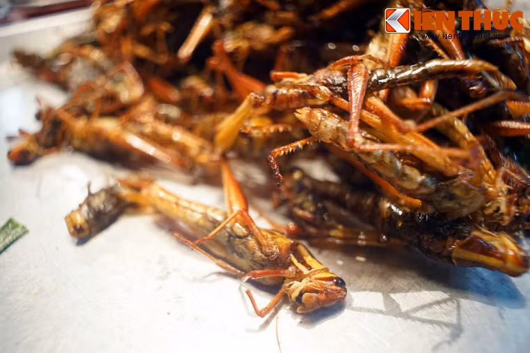 Những con châu chấu voi to bằng ngón tay nhìn khá bắt mắt, nhưng có vị hơi tanh khi ăn.