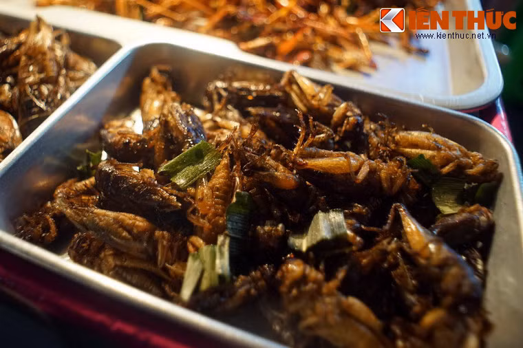 Hầu hết những người thưởng thức ẩm thực côn trùng Thái Lan là du khách nước ngoài "ham của lạ". Thông thường, một xe đẩy côn trùng sẽ hết hàng trong một buổi tối.
