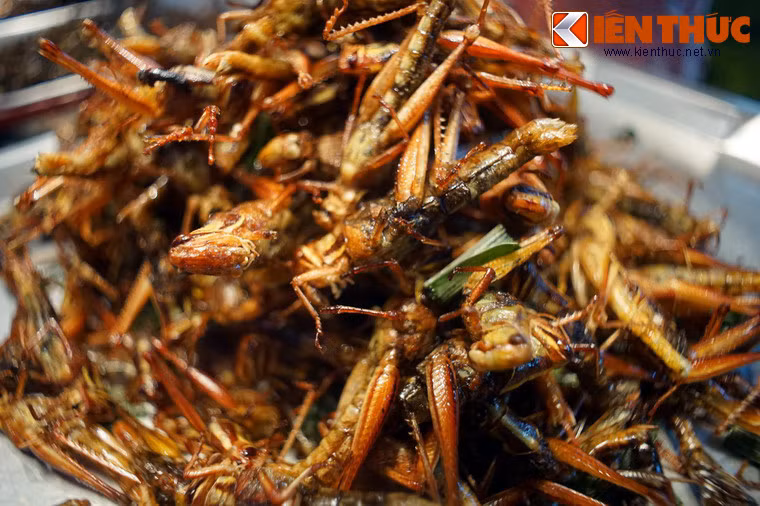 Có thể nói, ẩm thực côn trùng là một sản phẩm du lịch thể hiện đầu óc kinh doanh nhạy bén của người Thái.
