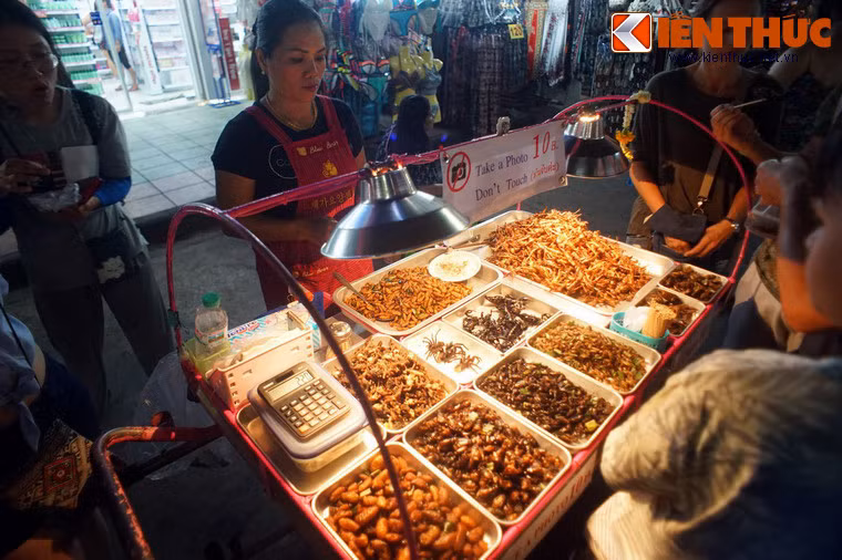 Thế giới ẩm thực côn trùng ở Thái Lan hiện diện qua những chiếc xe đẩy bán đủ loại côn trùng chiên vàng ruộm bắt mắt. Không khó để bặt gặp những quầy hàng thú vị này tại những khu phố ăn đêm trứ danh ở thủ đô Bangkok hay thành phố du lịch Pattaya.