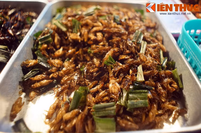 Đa phần các chủng loại côn trùng được biến thành quà vặt ở nơi đây đều quen thuộc với người Việt, như món châu chấu chiên, được gọi là Kao Gam.