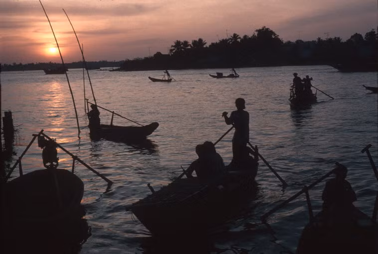 Bình minh trên sông Hậu. Ảnh: Harry Gruyaert - Magnumphotos.com