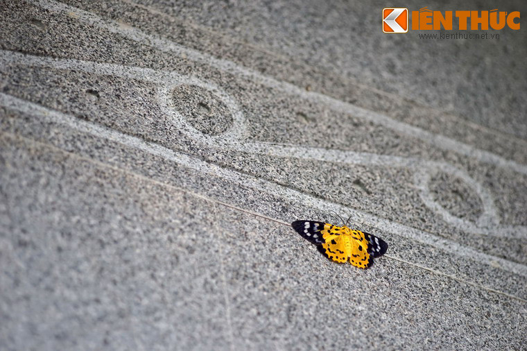 Họa tiết trống đồng cách điệu trang trí trên các cột và tường của đền.