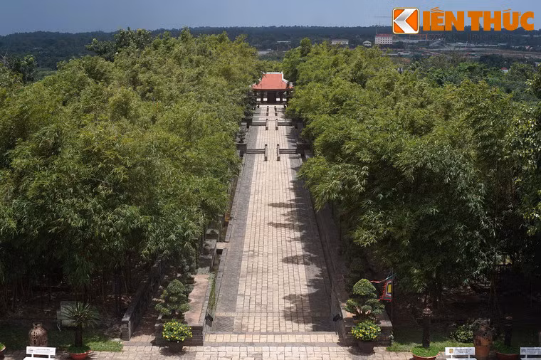 Toàn cảnh Đường tre nhìn từ trên cao.