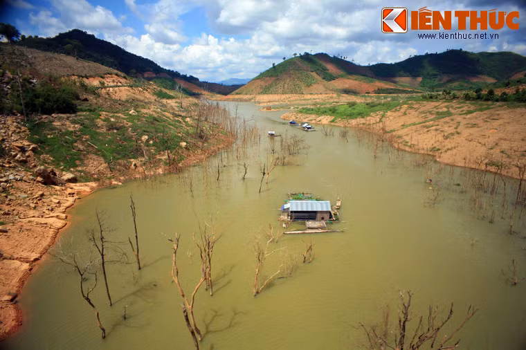 Trước khi xây nhà máy thủy điện, nhiều khu vực trong lòng hồ vẫn là những cánh rừng rậm rạp.