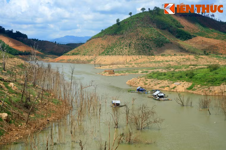 Những thân cây trơ trụi nhô lên từ mặt nước đã tạo nên một cảnh tượng đẹp ma mị cho hồ thủy điện Buôn Tua Srah.