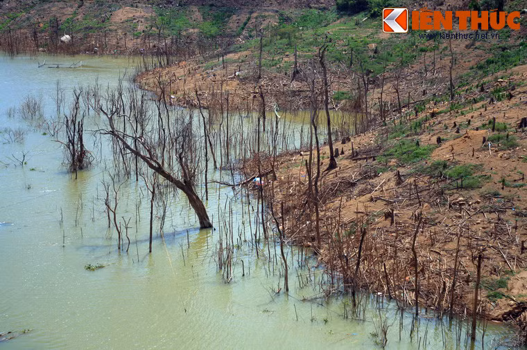 Vài năm sau khi công trình hoàn thành, dưới lòng hồ vẫn còn rất nhiều thân cây rừng bị chết do ngập nước.