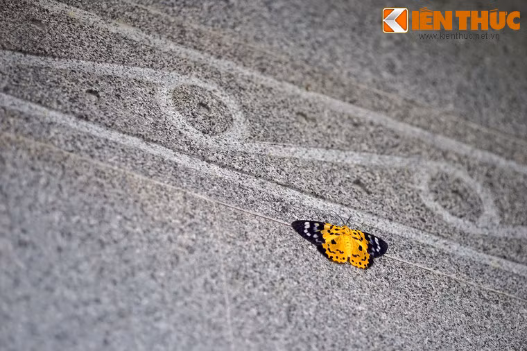 Họa tiết trống đồng cách điệu trang trí trên các cột và tường của đền.